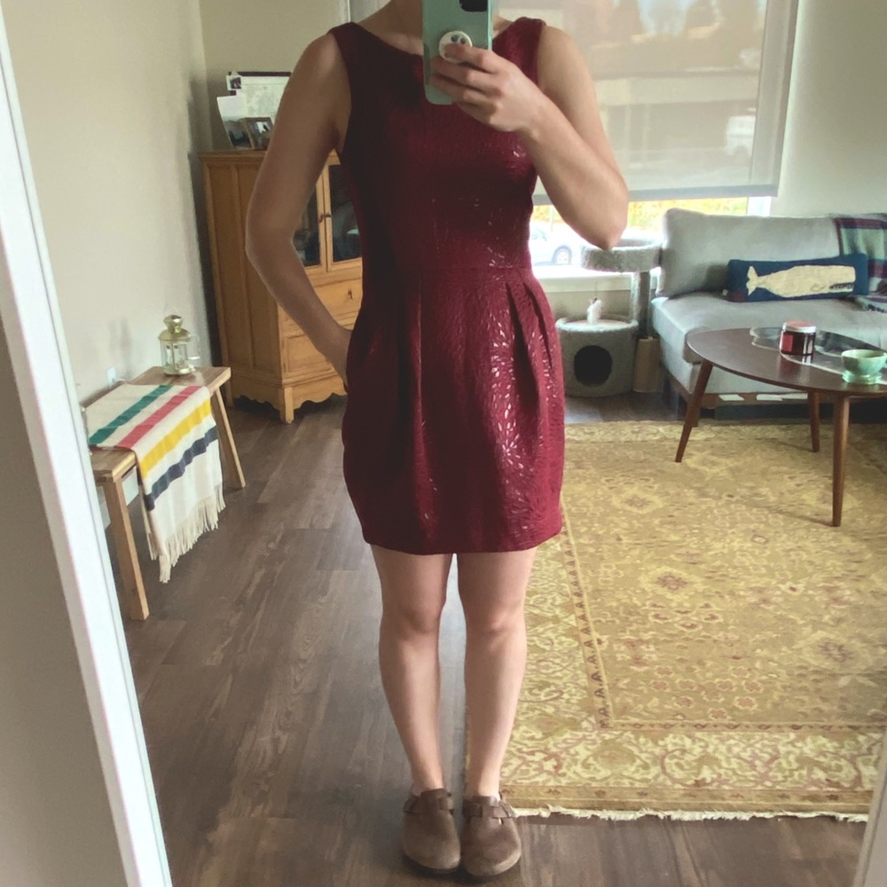 Babaton aritzia Ellsworth maroon/red berry cocktail dress